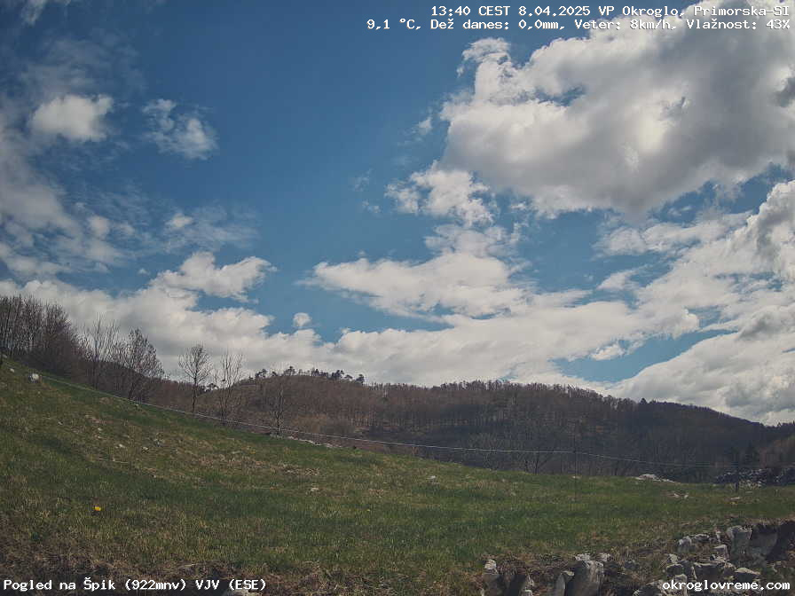 Web Cam History Image - 224